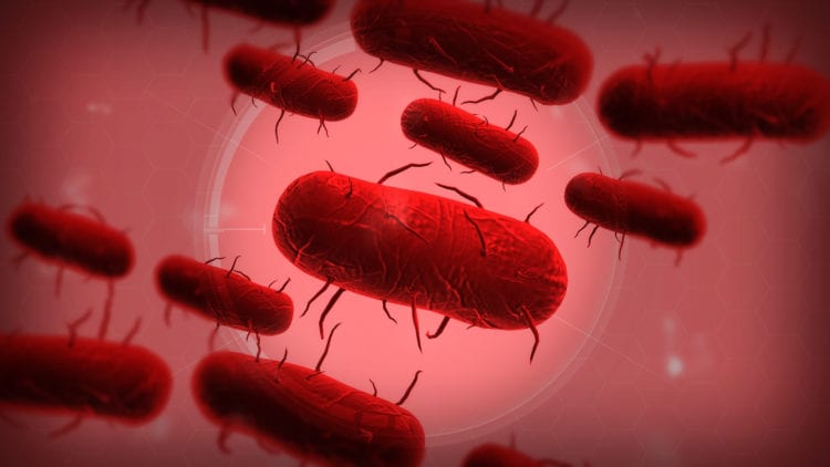 Plague Inc.