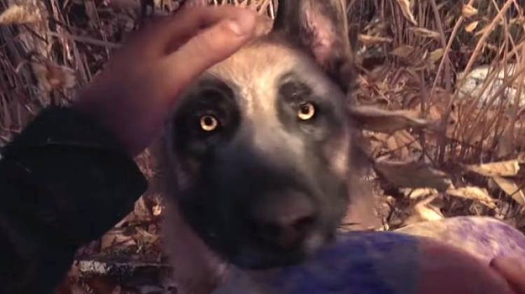 Blair Witch