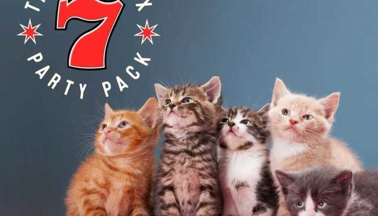 Jackbox Party Pack 7